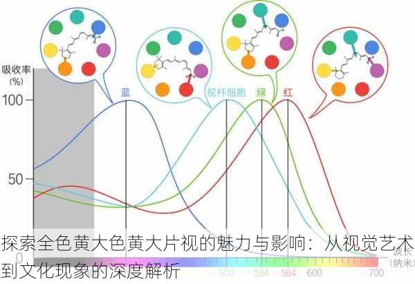 探索全色黄大色黄大片视的魅力与影响：从视觉艺术到文化现象的深度解析