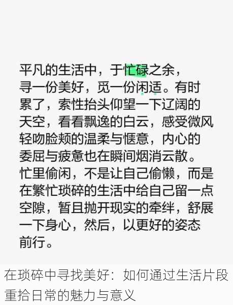 在琐碎中寻找美好：如何通过生活片段重拾日常的魅力与意义