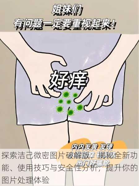 探索洁己微密图片破解版：揭秘全新功能、使用技巧与安全性分析，提升你的图片处理体验