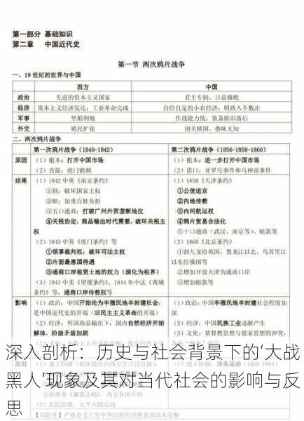 深入剖析：历史与社会背景下的‘大战黑人’现象及其对当代社会的影响与反思