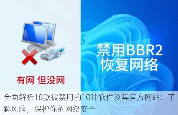 全面解析18款被禁用的10种软件及其官方网站：了解风险，保护你的网络安全