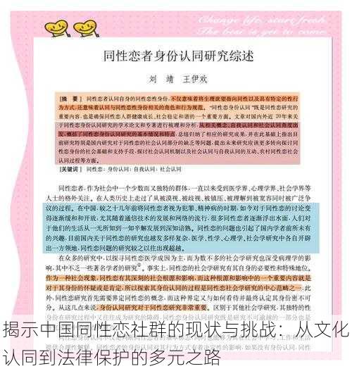 揭示中国同性恋社群的现状与挑战：从文化认同到法律保护的多元之路