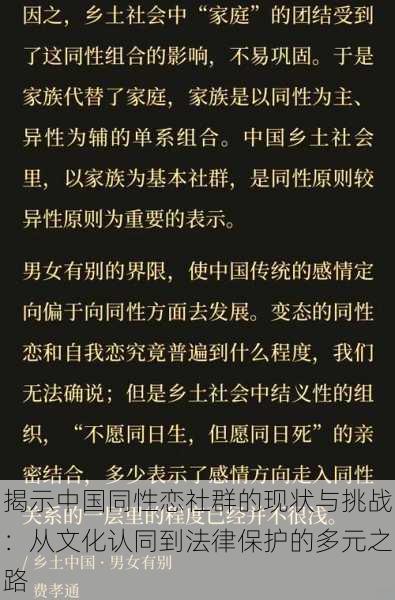 揭示中国同性恋社群的现状与挑战：从文化认同到法律保护的多元之路