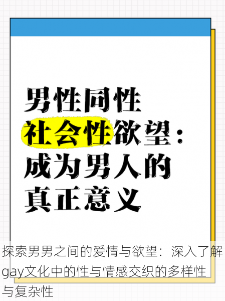 探索男男之间的爱情与欲望：深入了解gay文化中的性与情感交织的多样性与复杂性