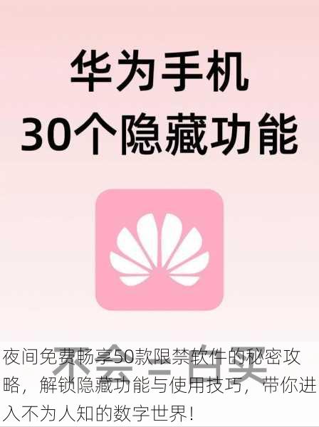 夜间免费畅享50款限禁软件的秘密攻略，解锁隐藏功能与使用技巧，带你进入不为人知的数字世界！