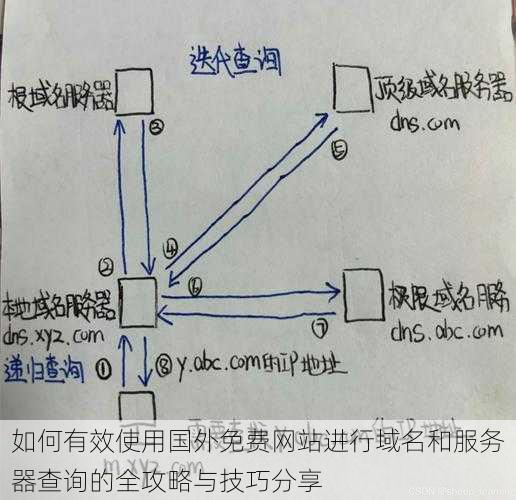 如何有效使用国外免费网站进行域名和服务器查询的全攻略与技巧分享