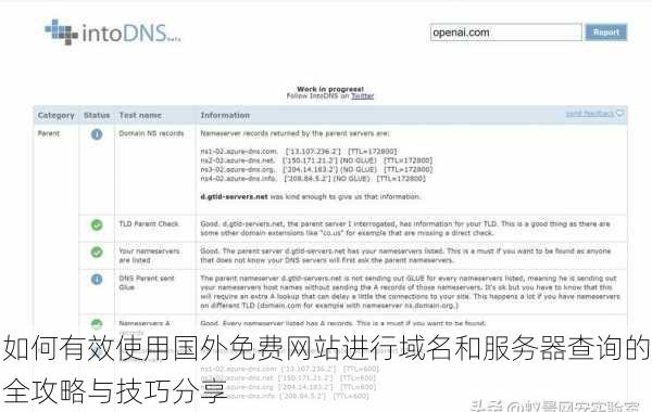 如何有效使用国外免费网站进行域名和服务器查询的全攻略与技巧分享