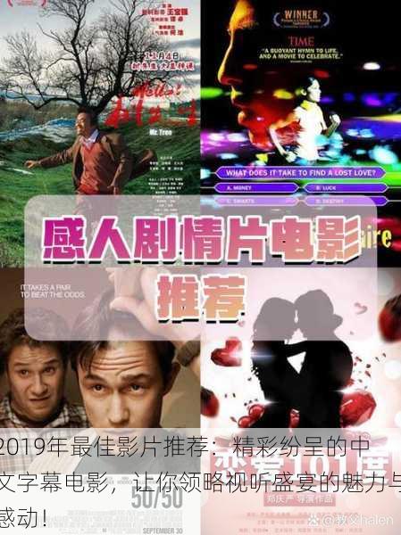 2019年最佳影片推荐：精彩纷呈的中文字幕电影，让你领略视听盛宴的魅力与感动！