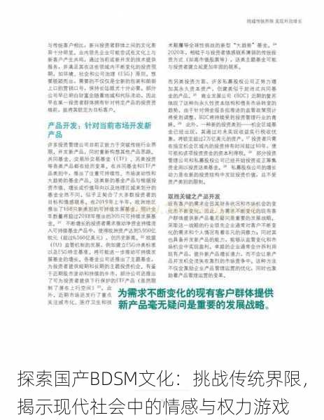 探索国产BDSM文化：挑战传统界限，揭示现代社会中的情感与权力游戏