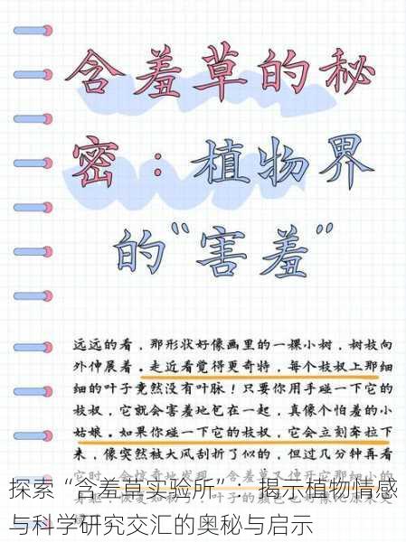 探索“含羞草实验所”：揭示植物情感与科学研究交汇的奥秘与启示