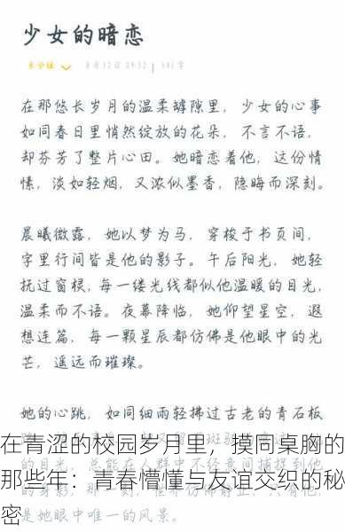 在青涩的校园岁月里，摸同桌胸的那些年：青春懵懂与友谊交织的秘密