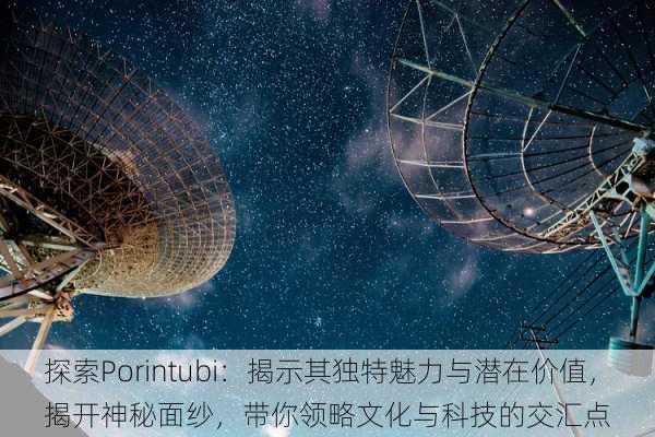 探索Porintubi：揭示其独特魅力与潜在价值，揭开神秘面纱，带你领略文化与科技的交汇点