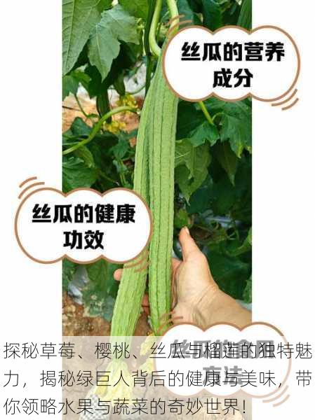 探秘草莓、樱桃、丝瓜与榴莲的独特魅力，揭秘绿巨人背后的健康与美味，带你领略水果与蔬菜的奇妙世界！