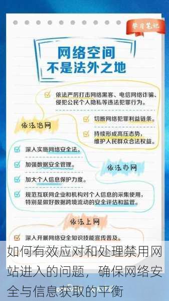 如何有效应对和处理禁用网站进入的问题，确保网络安全与信息获取的平衡