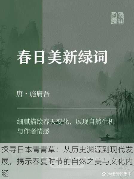 探寻日本青青草：从历史渊源到现代发展，揭示春夏时节的自然之美与文化内涵