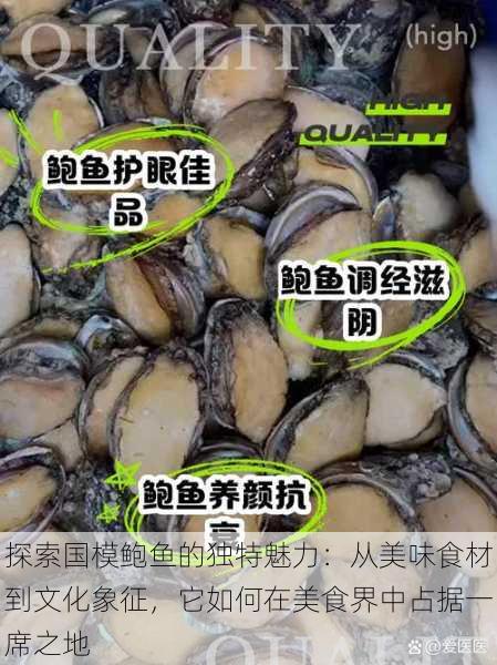 探索国模鲍鱼的独特魅力：从美味食材到文化象征，它如何在美食界中占据一席之地