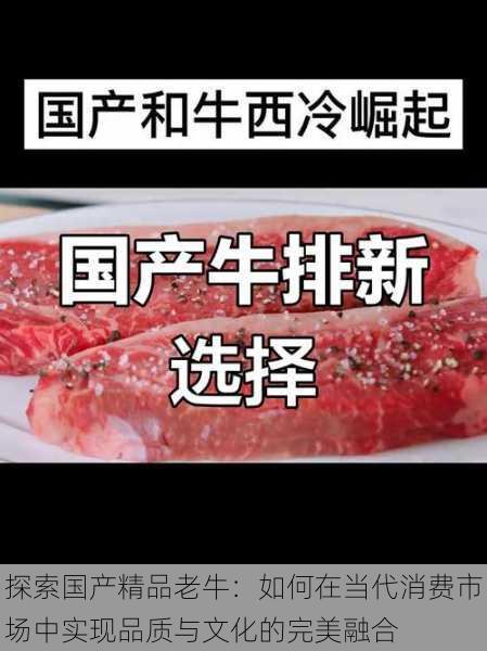 探索国产精品老牛：如何在当代消费市场中实现品质与文化的完美融合