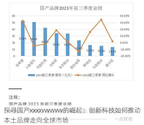 探寻国产xxxxwwww的崛起：创新科技如何推动本土品牌走向全球市场