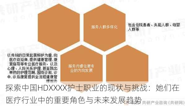 探索中国HDXXXX护士职业的现状与挑战：她们在医疗行业中的重要角色与未来发展趋势