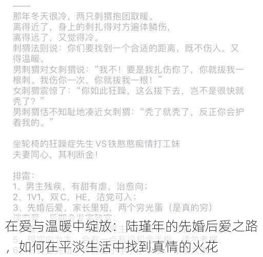 在爱与温暖中绽放：陆瑾年的先婚后爱之路，如何在平淡生活中找到真情的火花