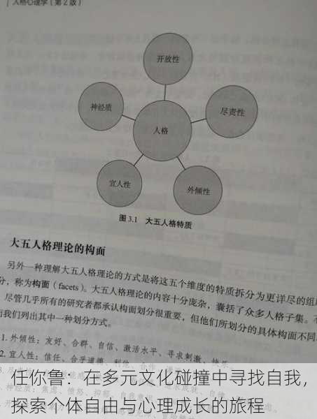 任你鲁：在多元文化碰撞中寻找自我，探索个体自由与心理成长的旅程