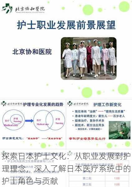 探索日本护士文化：从职业发展到护理理念，深入了解日本医疗系统中的护士角色与贡献