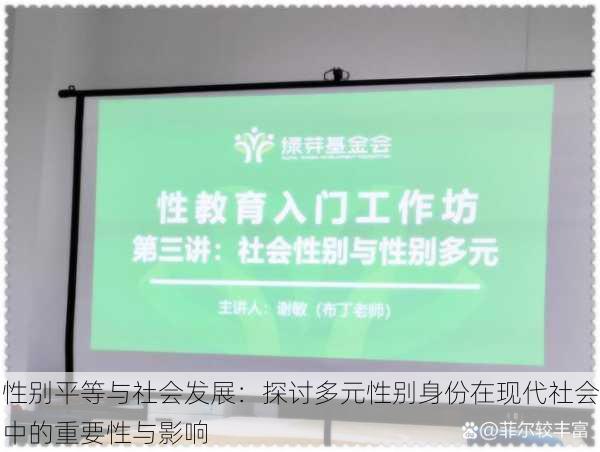 性别平等与社会发展：探讨多元性别身份在现代社会中的重要性与影响