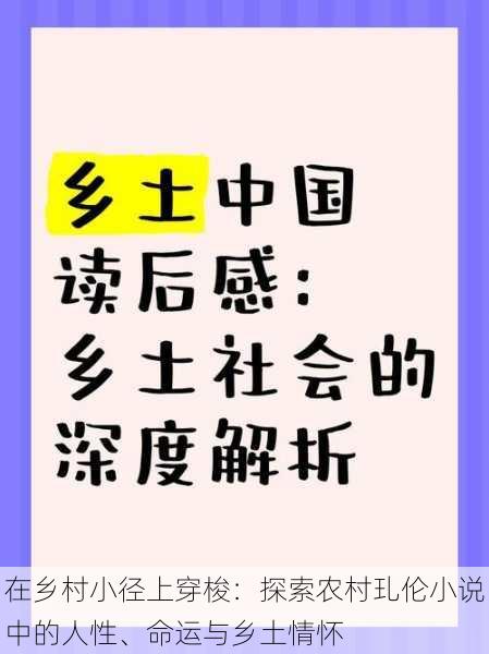 在乡村小径上穿梭：探索农村玌伦小说中的人性、命运与乡土情怀