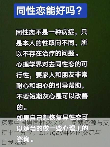 探索中国男同性恋文化：免费资源与支持平台分享，助力gay群体的交流与自我表达