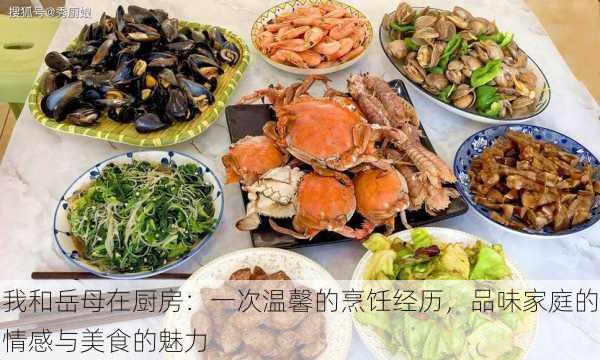 我和岳母在厨房：一次温馨的烹饪经历，品味家庭的情感与美食的魅力