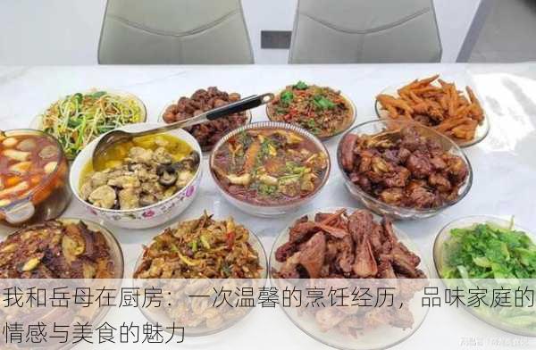 我和岳母在厨房：一次温馨的烹饪经历，品味家庭的情感与美食的魅力