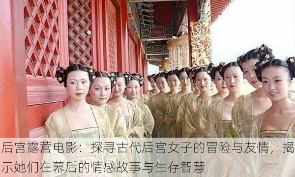 后宫露营电影：探寻古代后宫女子的冒险与友情，揭示她们在幕后的情感故事与生存智慧