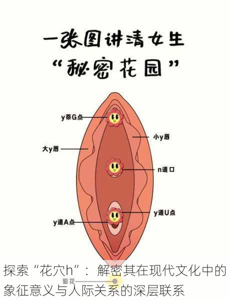 探索“花穴h”：解密其在现代文化中的象征意义与人际关系的深层联系