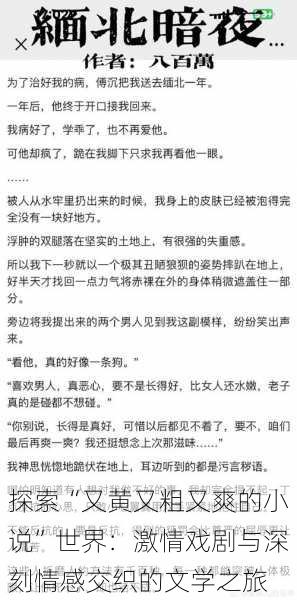 探索“又黄又粗又爽的小说”世界：激情戏剧与深刻情感交织的文学之旅