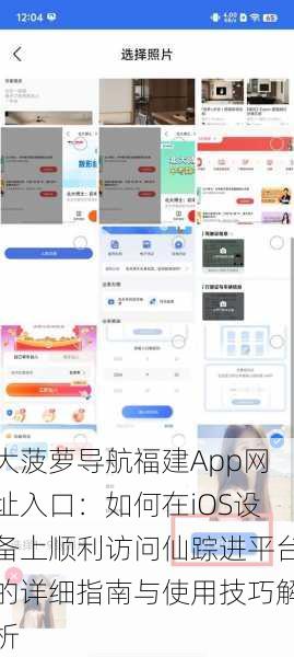 大菠萝导航福建App网址入口：如何在iOS设备上顺利访问仙踪进平台的详细指南与使用技巧解析