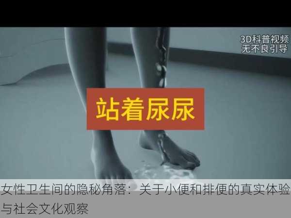 女性卫生间的隐秘角落：关于小便和排便的真实体验与社会文化观察