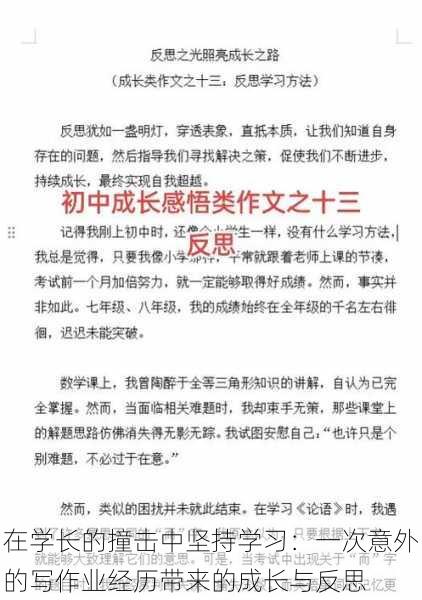 在学长的撞击中坚持学习：一次意外的写作业经历带来的成长与反思