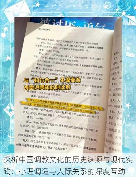 探析中国调教文化的历史渊源与现代实践：心理调适与人际关系的深度互动