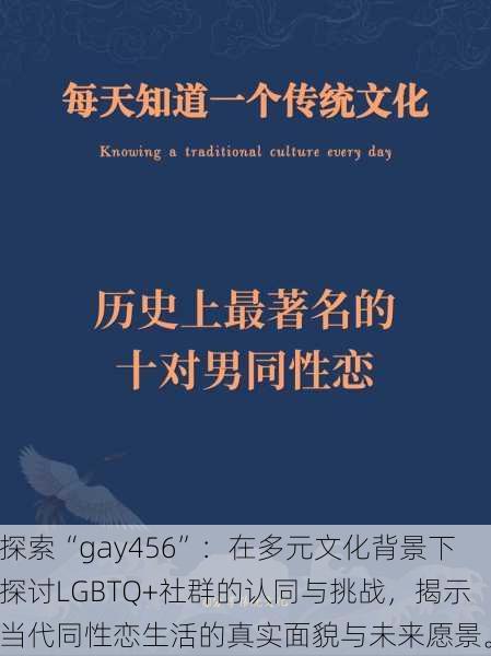 探索“gay456”：在多元文化背景下探讨LGBTQ+社群的认同与挑战，揭示当代同性恋生活的真实面貌与未来愿景。