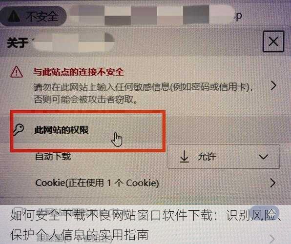 如何安全下载不良网站窗口软件下载：识别风险、保护个人信息的实用指南