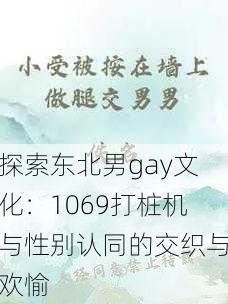 探索东北男gay文化：1069打桩机与性别认同的交织与欢愉