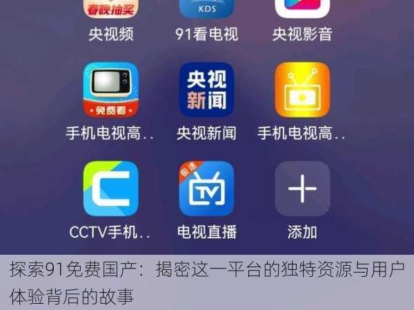 探索91免费国产：揭密这一平台的独特资源与用户体验背后的故事