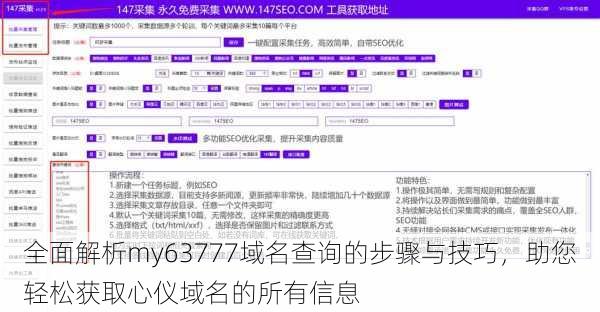 全面解析my63777域名查询的步骤与技巧，助您轻松获取心仪域名的所有信息