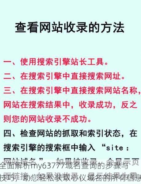 全面解析my63777域名查询的步骤与技巧，助您轻松获取心仪域名的所有信息