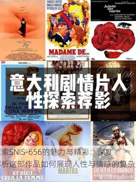 探索SNIS-656的魅力与精彩：深度解析这部作品如何展现人性与情感的复杂交织