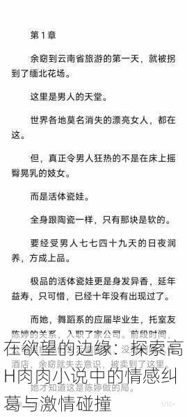 在欲望的边缘：探索高H肉肉小说中的情感纠葛与激情碰撞