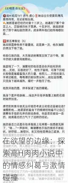 在欲望的边缘：探索高H肉肉小说中的情感纠葛与激情碰撞