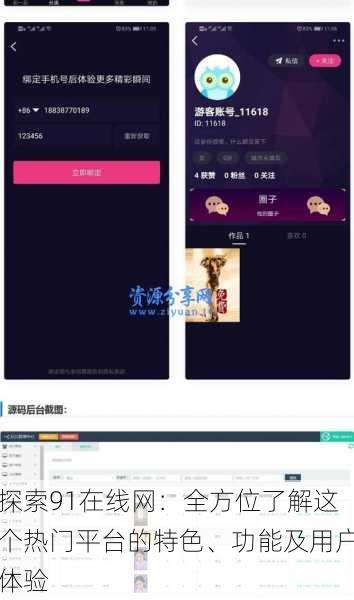 探索91在线网：全方位了解这个热门平台的特色、功能及用户体验