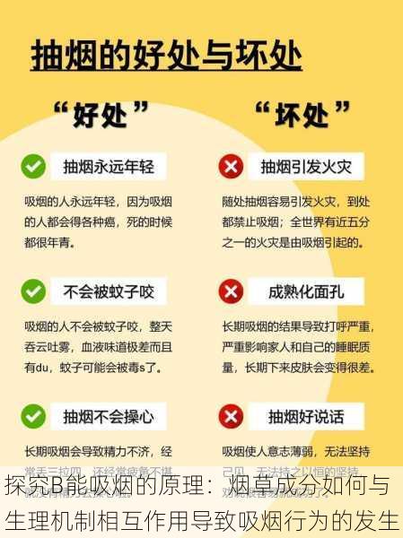 探究B能吸烟的原理：烟草成分如何与生理机制相互作用导致吸烟行为的发生