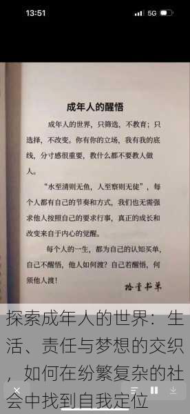 探索成年人的世界：生活、责任与梦想的交织，如何在纷繁复杂的社会中找到自我定位